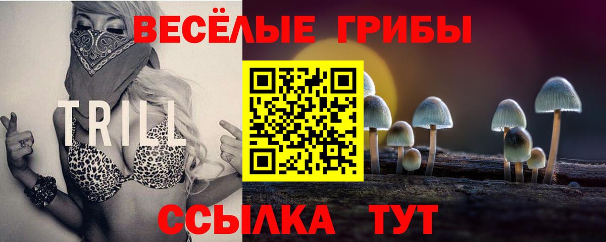 Петрозаводск  Псилоцибиновые грибы Psilocybe  Вход с VPN 